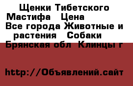 Щенки Тибетского Мастифа › Цена ­ 90 000 - Все города Животные и растения » Собаки   . Брянская обл.,Клинцы г.